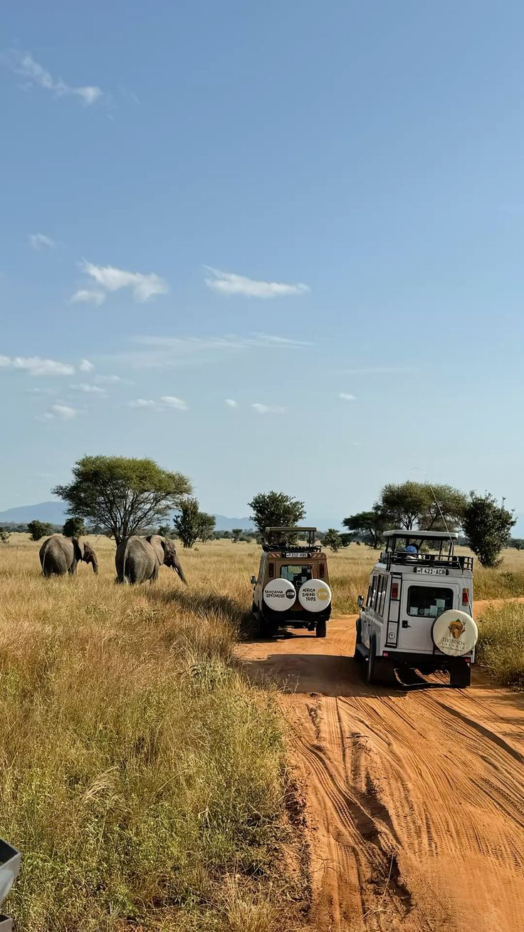 Kenya's Magnificent Safari — 9 Days 8 Nights