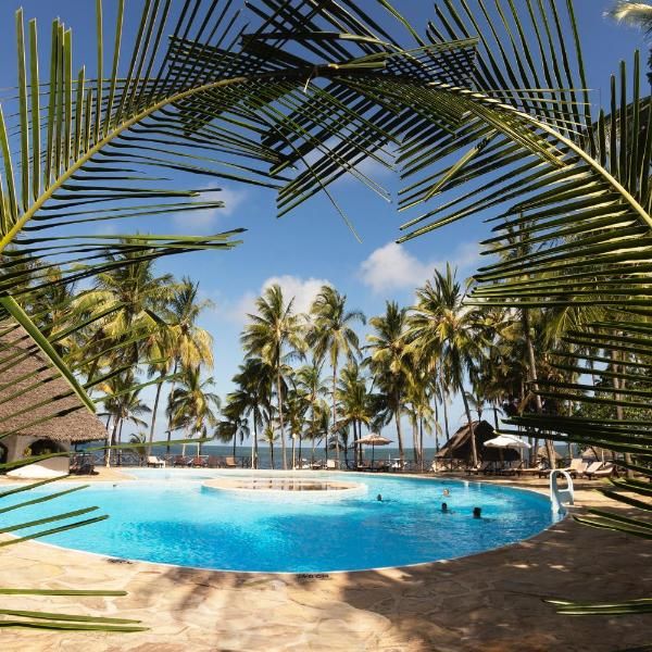 Medina Palms