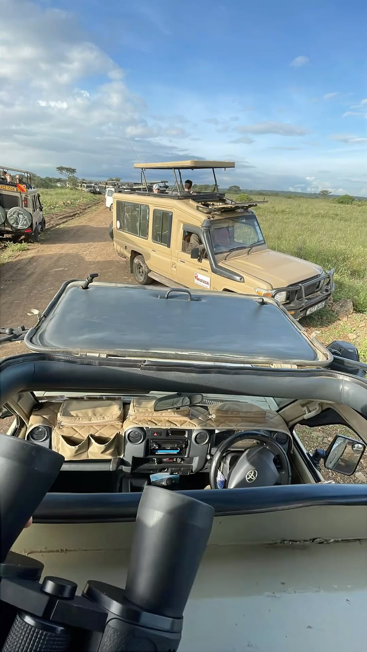 Tours Safari
